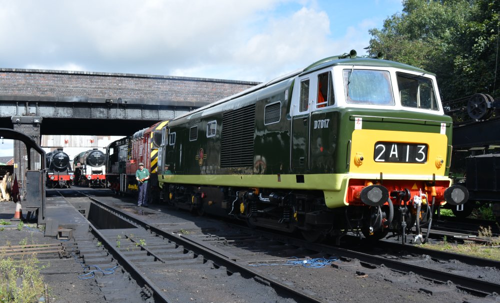 Class 35 Hymek diesel hydraulic locomotives D7017 mixed traffic locos ...