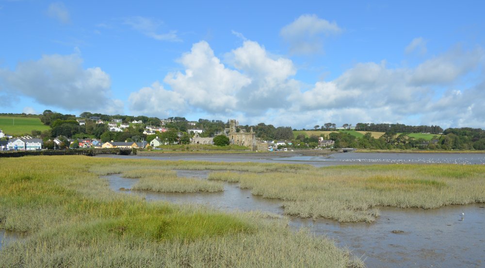 Timoleague to Courtmacsherry walk railway estuary bay nature walk bird ...